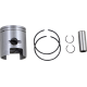 Piston Kit PISTN KT TS/JR/LT50 41MM