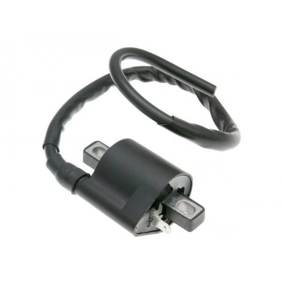 Ignition Coils IGNITION COIL