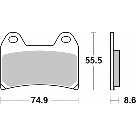 DS Racing Dual Sintermetall-Bremsbeläge BRAKE PAD SINT RACE