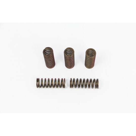 Clutch Spring Set SPRNGS CLTCH CRF250R/X'20